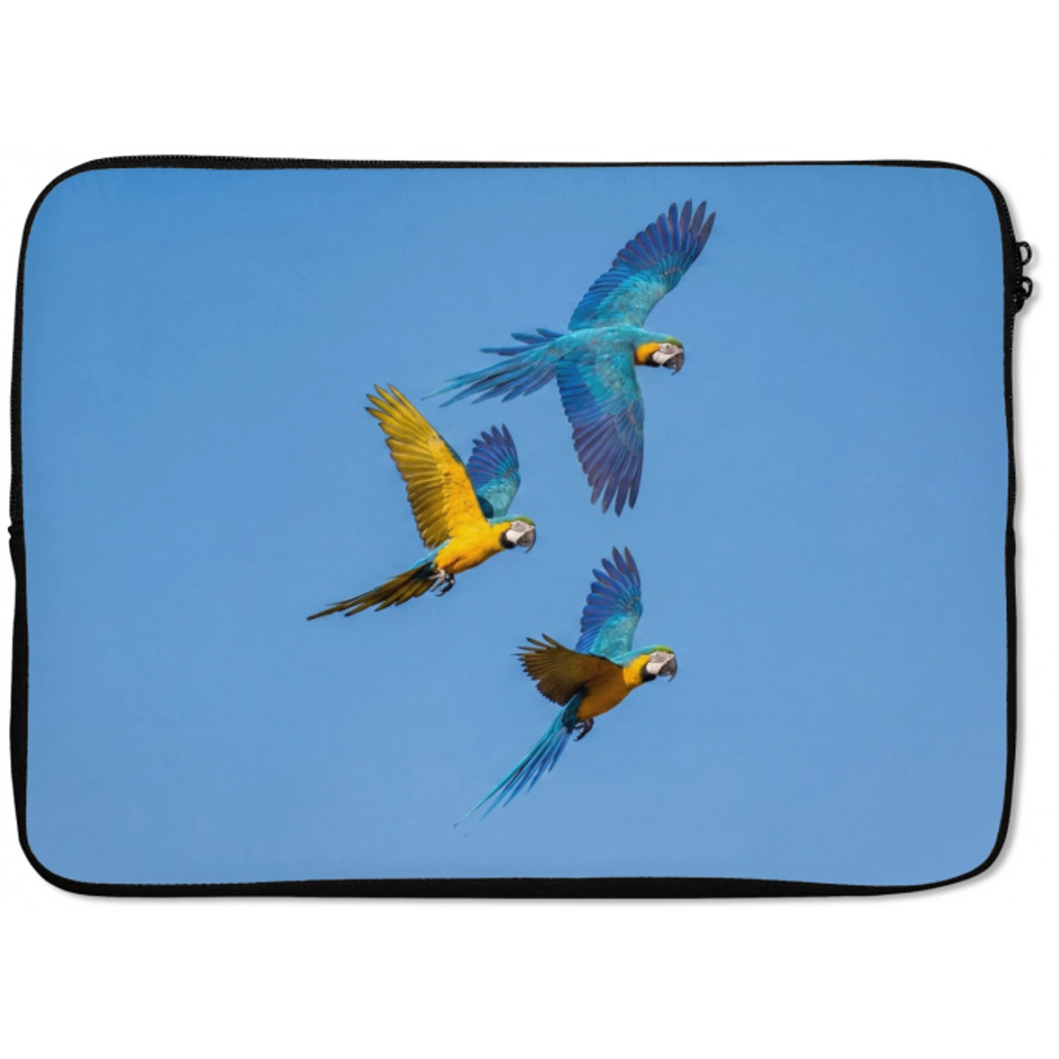 Papagaai - Vliegen - Blauw - Geel laptophoes neopreen klein -zkaufland3dotto