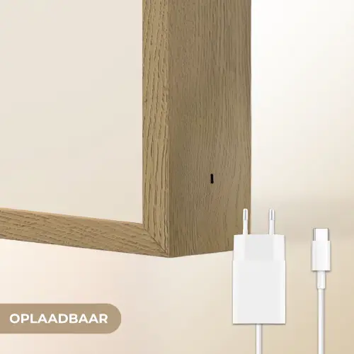 Zwarte zwaluw - Gouden accenten - Lichte achtergrond Light Box met batterij (Wandlamp) middel -USP_websiteoplaadbaarNL