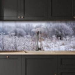 Schermbloem - Rijp - Kristallen - Winter - Delicaat keuken achterwand 2 middel -sfeer1