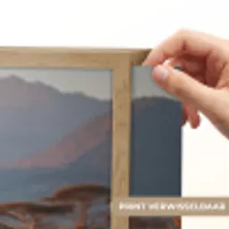 Giraffen - Hoog gras - Acaciabomen Light Box met batterij (Wandlamp) middel -USP_websiteprintNL