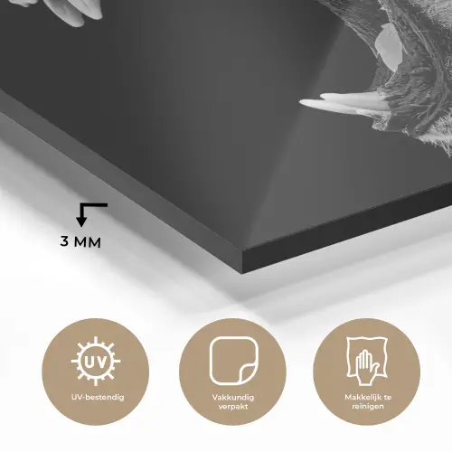 Dieren - Leeuw - Zwart - Wit - Portret plexiglas 5mm klein -sfeer2