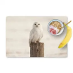 Sneeuwuil - Paal - Winter - Portret - Majestueus Placemat vinyl groot -zzzproduct_Kitchenyeah-website