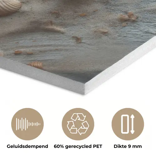 Anker - Hout - Schelpen - Zand PET vilt klein -closeup_NL