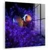 Koraal - Vis - Oranje - Zee plexiglas 5mm klein -zzzproduct_nieuw