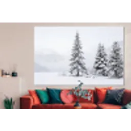 Fijnsparren - Sneeuw - Winter - Landschap - Stilte forex 5mm xxl -woonkamer