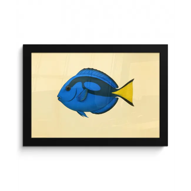 Blauw - Dory - Vis - Staartvin fotolijst zwart zonder passe partout klein -3d