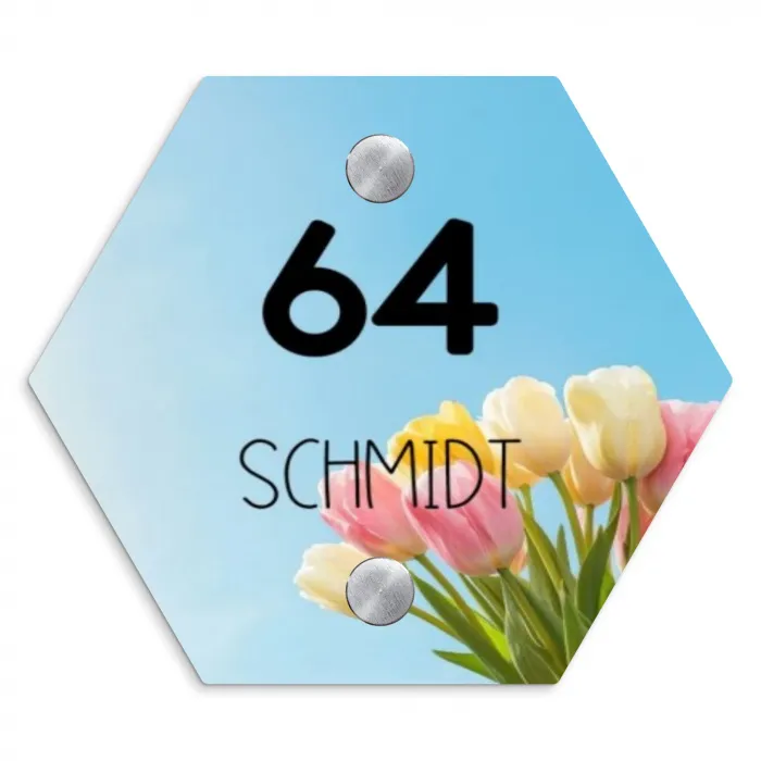 Gekleurde tulpen lucht - Modern Naambord Hexagon klein -3d
