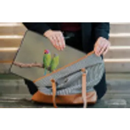 Papagaai - Tak - Natuur - Kleurrijk laptophoes neopreen klein -tas