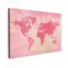 Wereldkaart - Roze - Vaag Tuinposter op houten frame 2 cm dik klein -3d