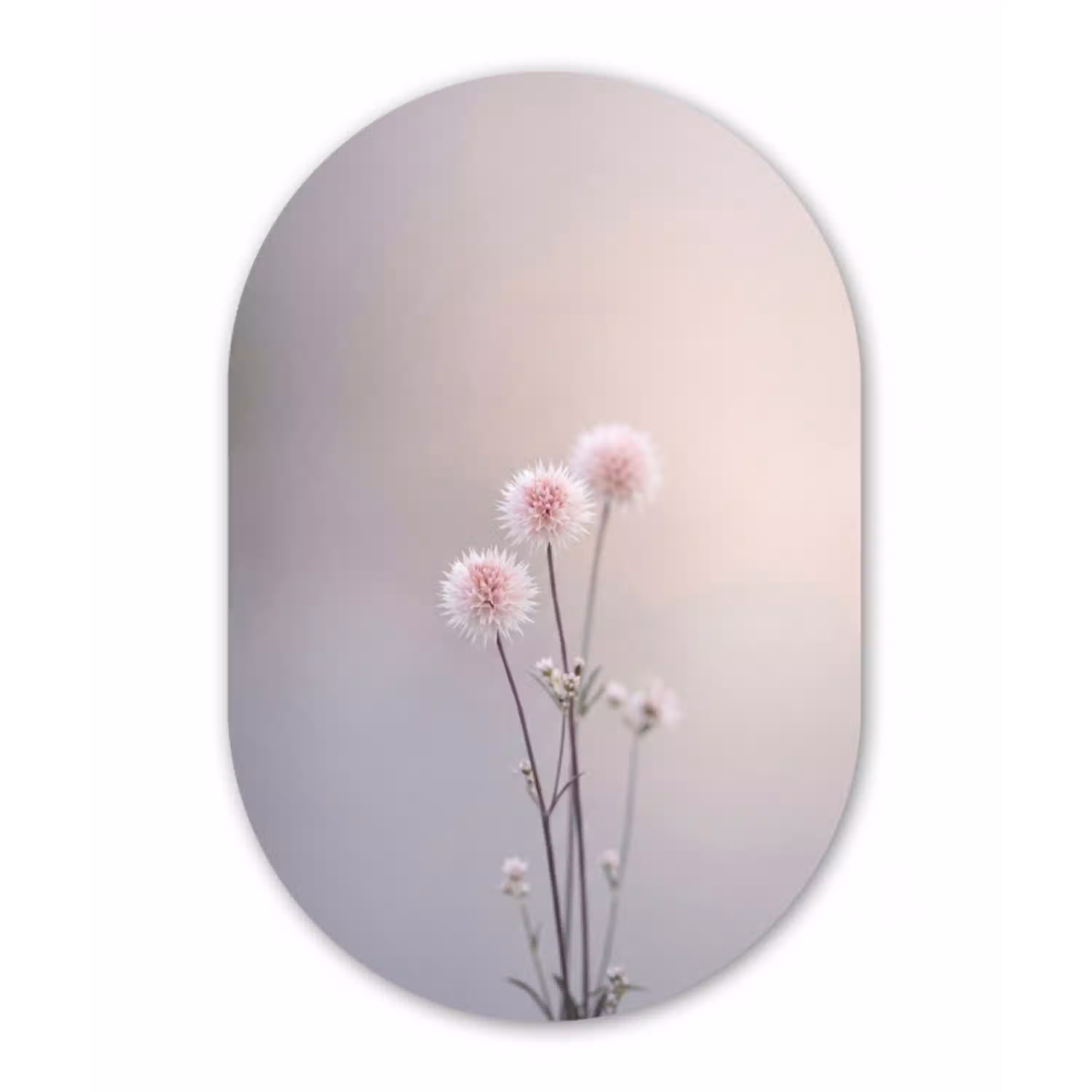 Bloemen - Bollen - Roze Wandcirkel Ovaal Aluminium middel -3d