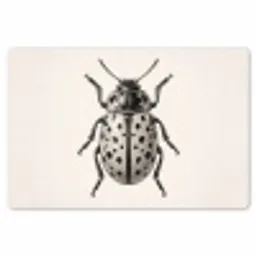 Kever - Insect - Vintage Placemat vinyl groot -zzsfeer1_Kitchenyeah-website
