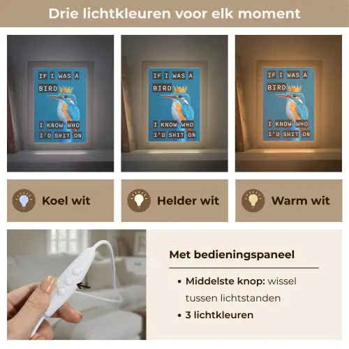 Vogel - Decoratie - Ijsvogel - Blauw Light Box met kabel (Tafellamp) klein -USP_lichtkleurNL