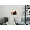 Paard - Zonsondergang - Bruin Muursticker klein -slaapkamer