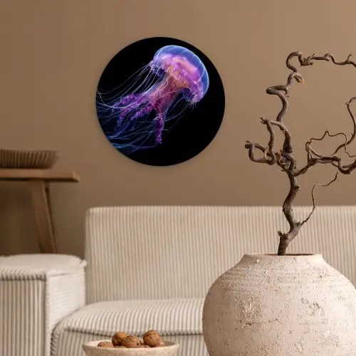 Kwal - Doorzichtig - Roze - Tentakels Wandcirkel kunststof plaat 5mm dik klein -sfeer1
