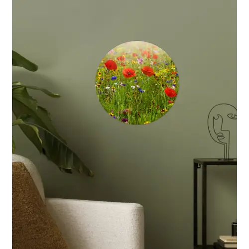 Lente - Bloemen - Rood - Klaproos - Gras - Groen Wandcirkel behangsticker klein -sfeer2