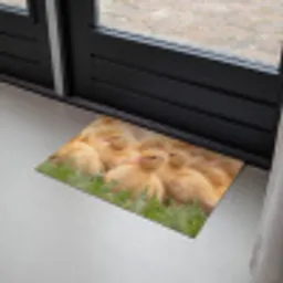 Pijltje - Eend - Natuur - Geel Deurmat klein -sfeer2
