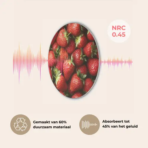 Aardbei - Fruit - Rood Akoestische PET Vilt - Rond klein -USP_NL
