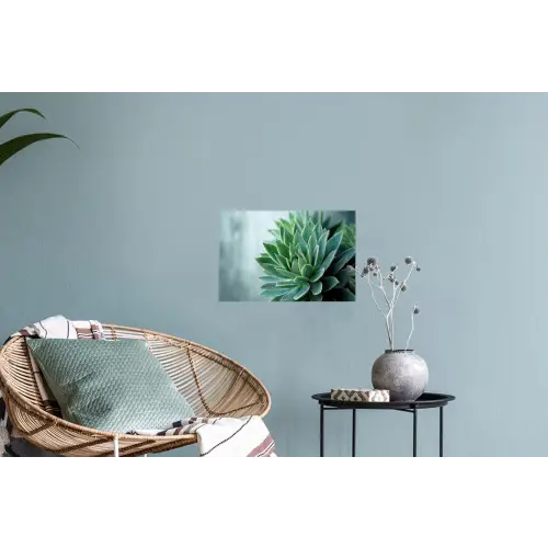 Vetplant - Bladeren - Groen - Wazig Muursticker klein -plant