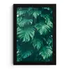 Monstera - Bladeren - Planten - Jungle - Natuur fotolijst zwart zonder passe partout klein -3d