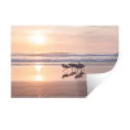 Zee - Vogels - Strand Muursticker klein -3d