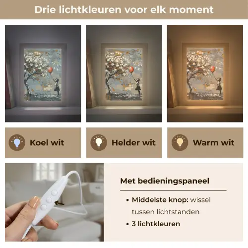 Boom - Graffiti - Banksy Style - Balloon Girl Light Box met kabel (Tafellamp) klein -USP_lichtkleurNL