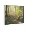 Bos - Bomen - Pad - Zon - Planten - Bladeren - Natuur PET vilt klein -3d