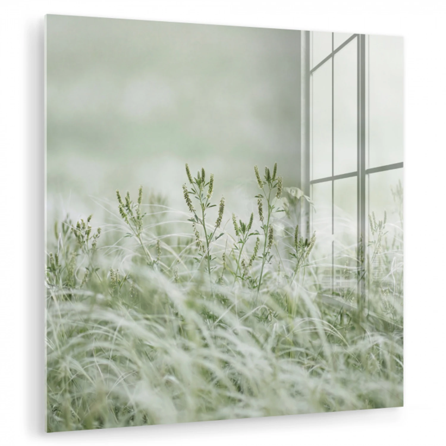 Grassen - Minimalistisch - Groen plexiglas 5mm klein -zzzproduct_nieuw