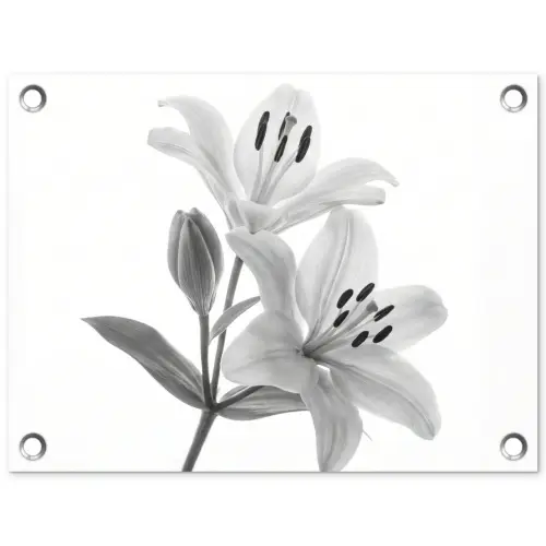 Lelies - Elegant - Zwart - Wit tuinposter los doek klein -3d