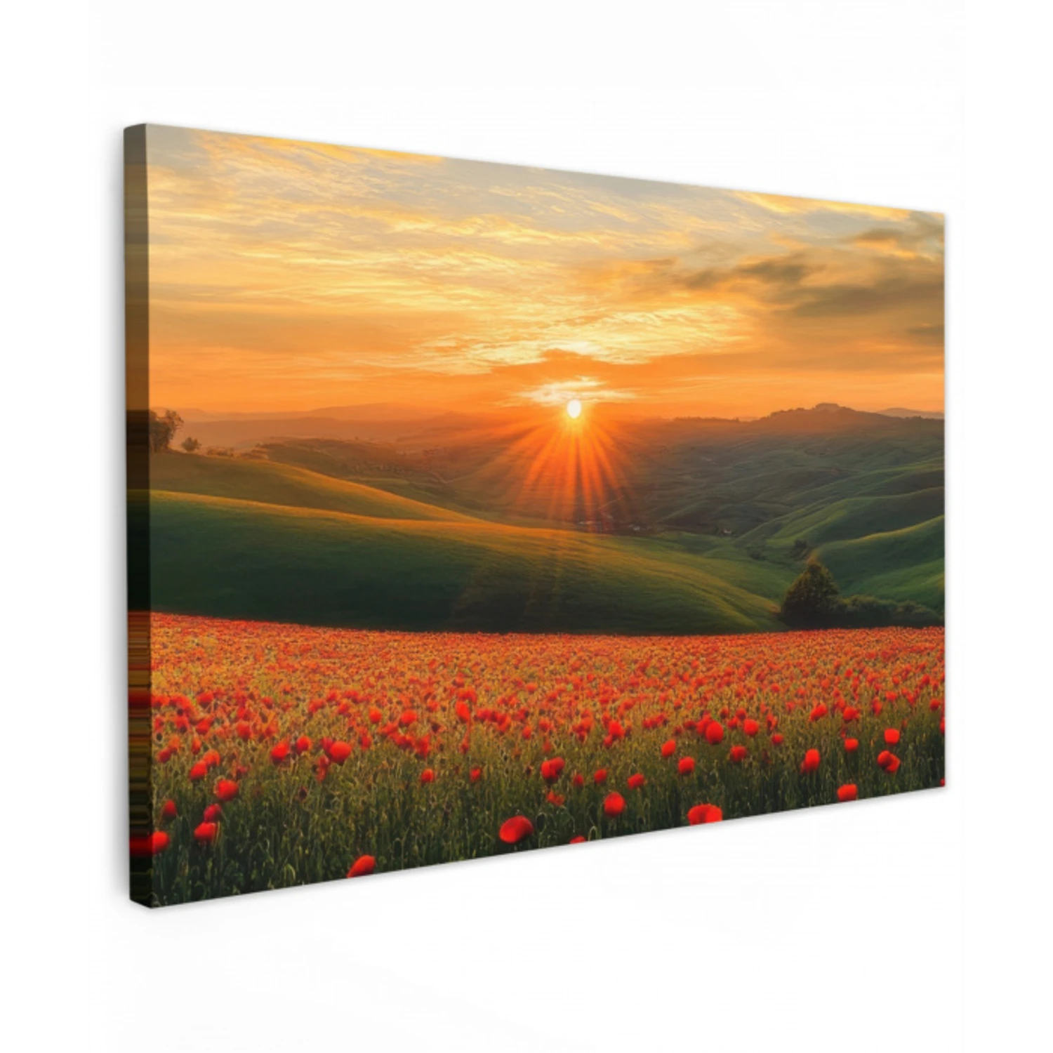 Klaprozen - Bloemen - Heuvels - Zonsondergang canvas 2cm klein -z3d