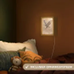 Buizerd - Roofvogel - Natuur - Bruin Light Box met kabel (Kinderlampje) klein -sfeer5_kind