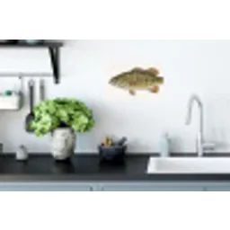 Vissen - Natuur - Vintage Muursticker klein -keuken