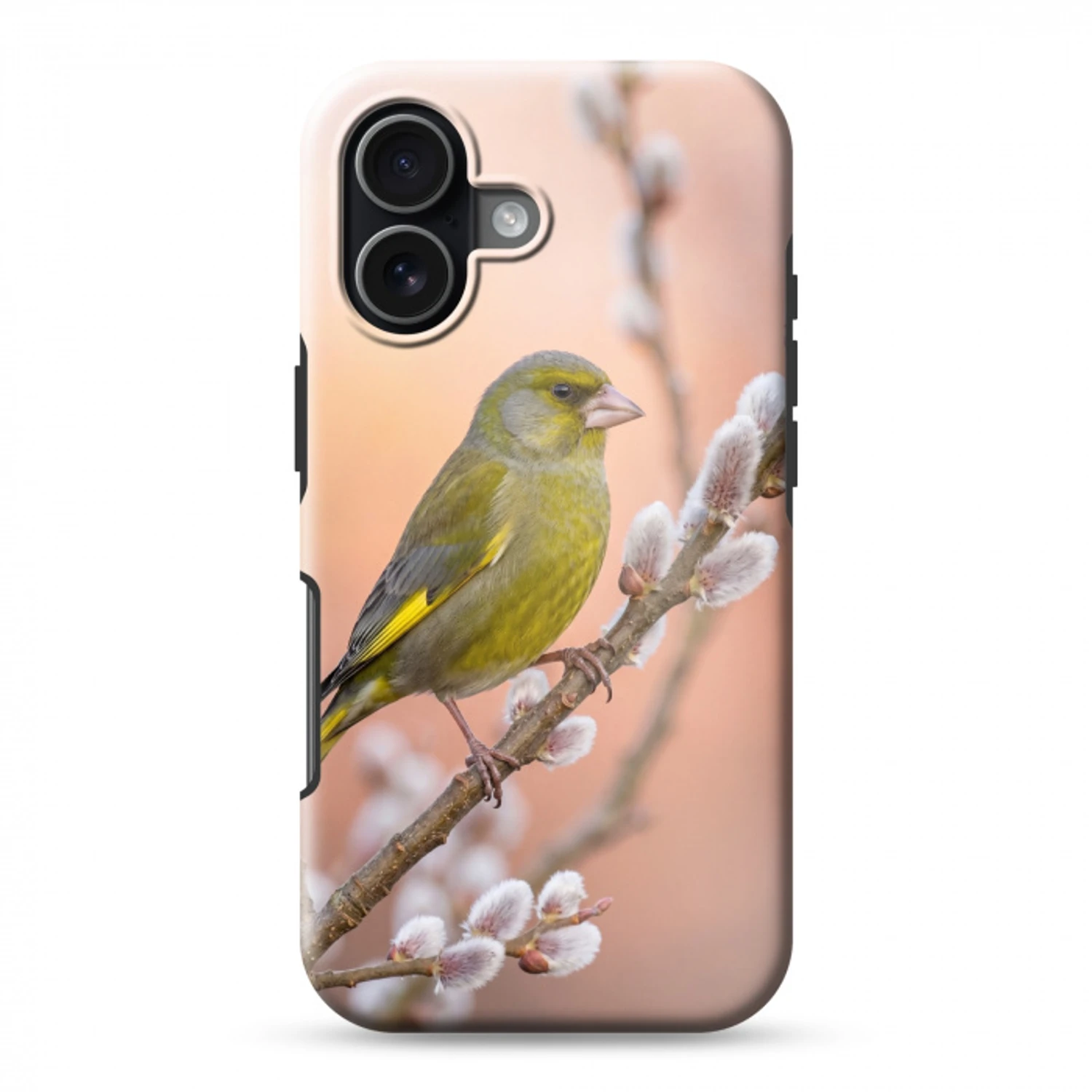 Groenling - Katjes - Lente - Natuur - Zacht Toughcase MagSafe Apple iPhone 17 klein -3d