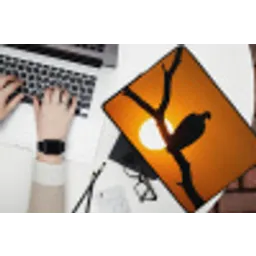 Gier - Tak - Zon - Oranje laptophoes neopreen klein -bureau