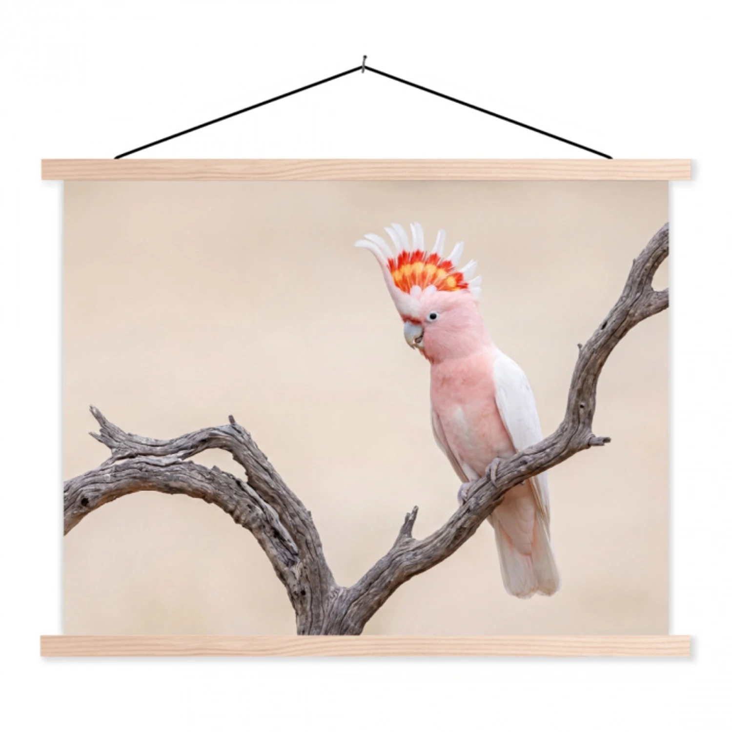 Papagaai - Tak - Roze textielposter latten blank klein -3d