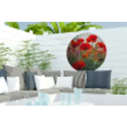 Klaproos - Bloemen - Rood - Paars - Weide Wandcirkel tuinposter met ringen klein -buiten2