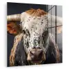 Stier - Kleurrijk - Hoorns plexiglas 5mm klein -zzzproduct_nieuw