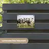Nieuwsgierige koeien in de wei tuinposter los doek klein -sfeer3