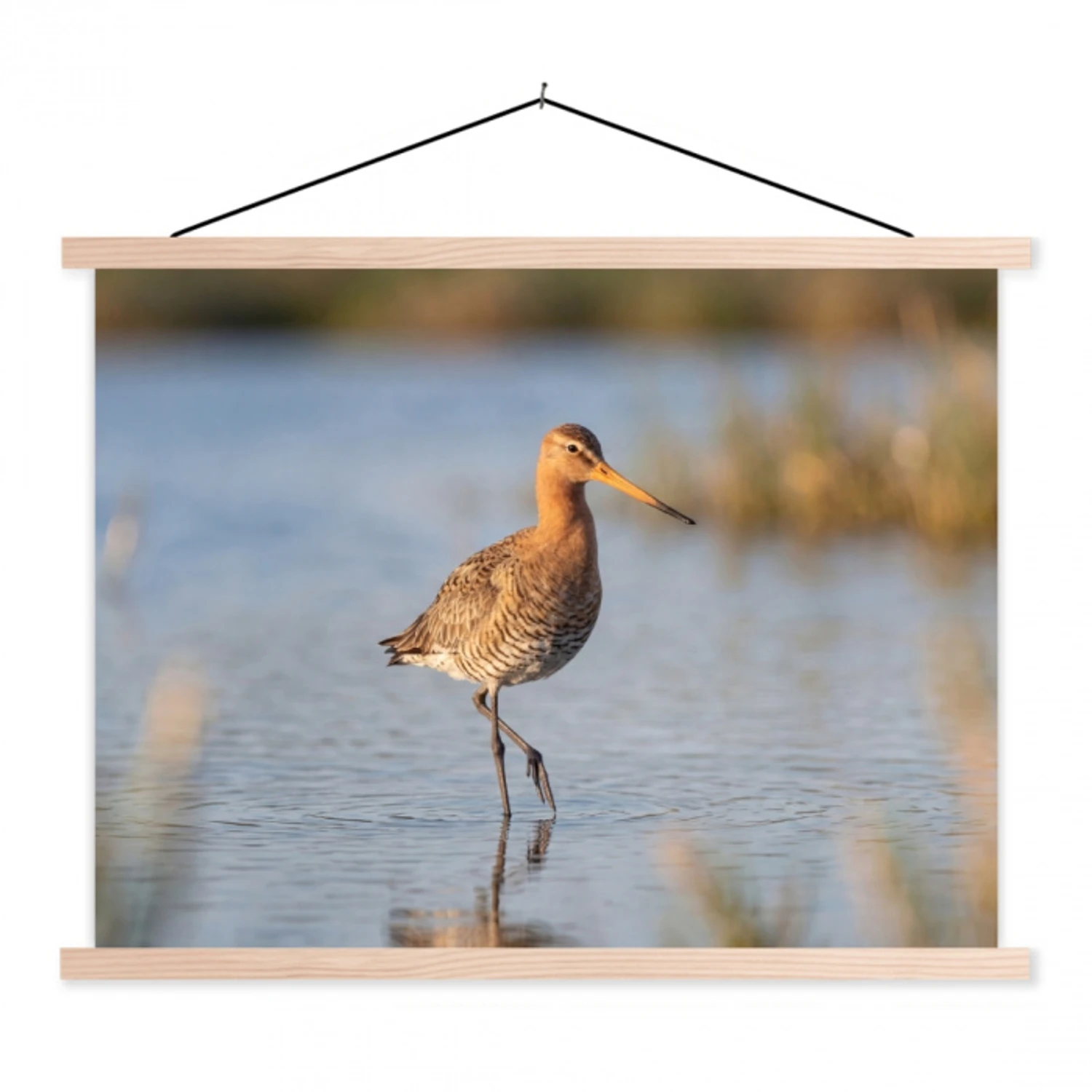 Vogel - Steltloper - Water - Natuur textielposter latten blank klein -3d