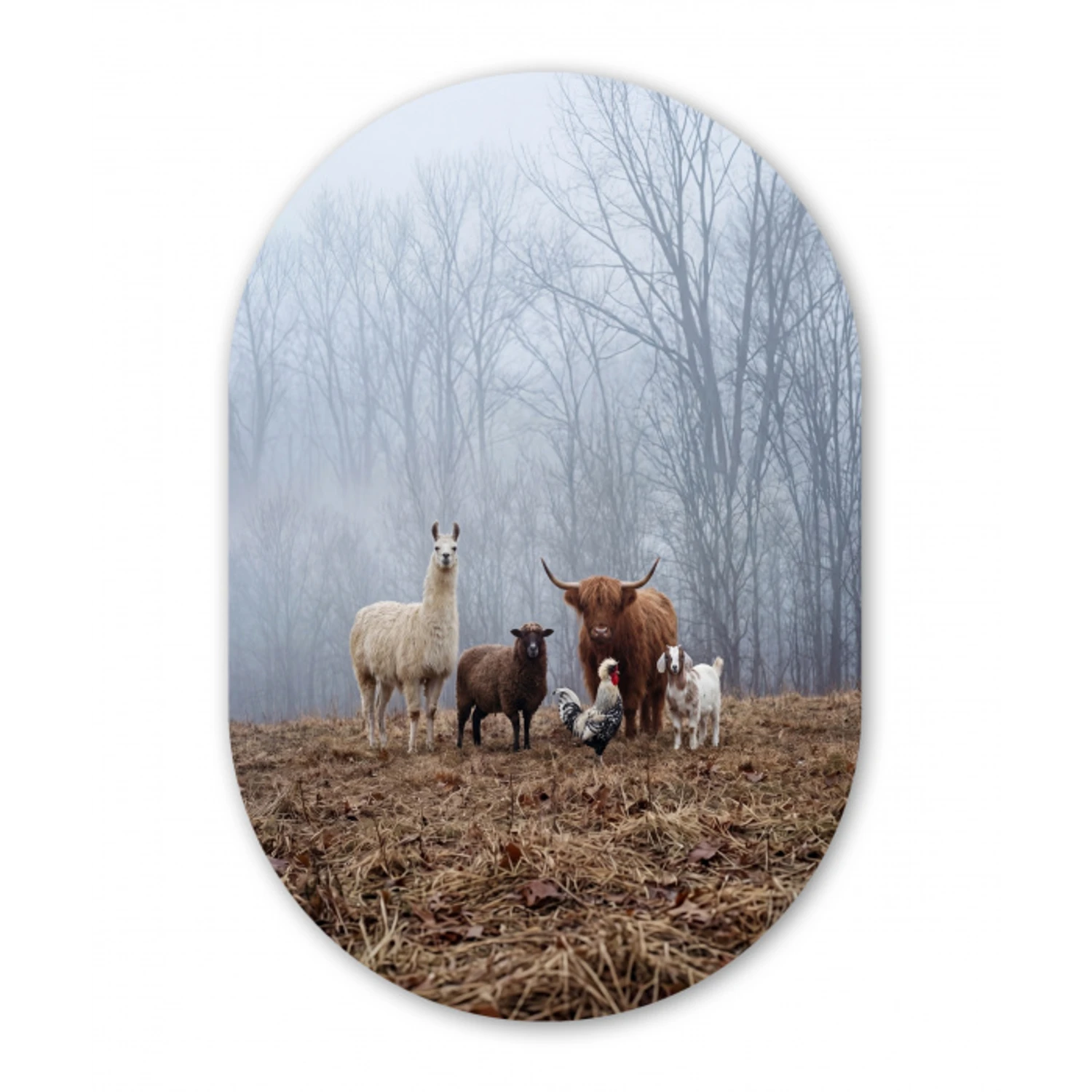 Boerderijdieren - Groep - Mist - Natuur - Rustiek Wandcirkel Ovaal Aluminium middel -3d
