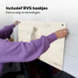 Sneeuwuil - Paal - Winter - Portret - Majestueus Inductie beschemer met haakjes klein -ky-ophangen-nl