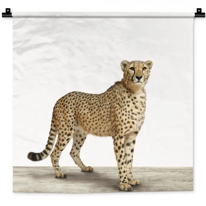 Luipaard - Dieren - Witte achtergrond - Kinderen - Jongens - Meisjes Wandkleed katoen klein -zz3d