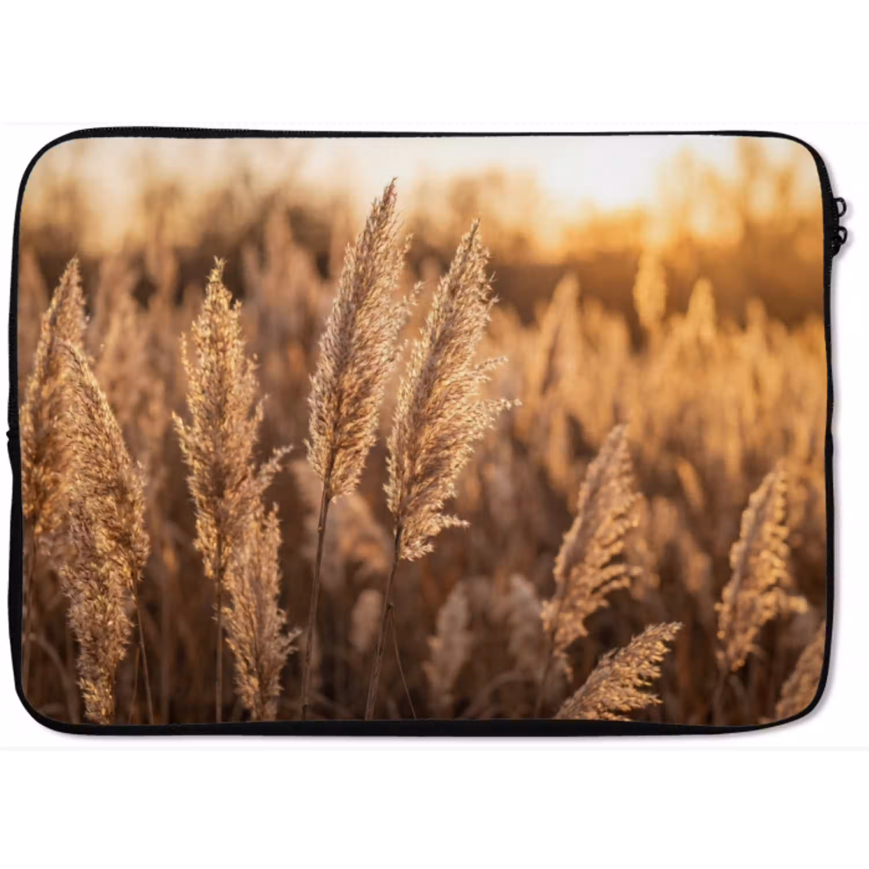 Rietpluimen - Gras - Zonsondergang - Goud - Serene laptophoes neopreen klein -zkaufland3dotto