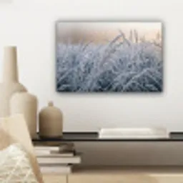Rijp - Gras - Kristallen - Winter - Minimalistisch canvas 2cm klein -sfeer6