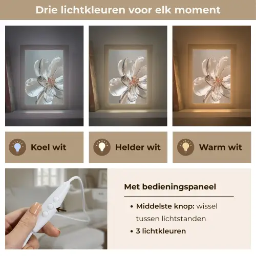 Bloem - Glazen - Doorzichtig Light Box met kabel (Tafellamp) klein -USP_lichtkleurNL