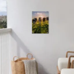 Koeien in de ochtendzon tuinposter los doek klein -sfeer8
