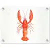 Kreeft - Waterverf - Aquarel - Oranje tuinposter los doek klein -3d