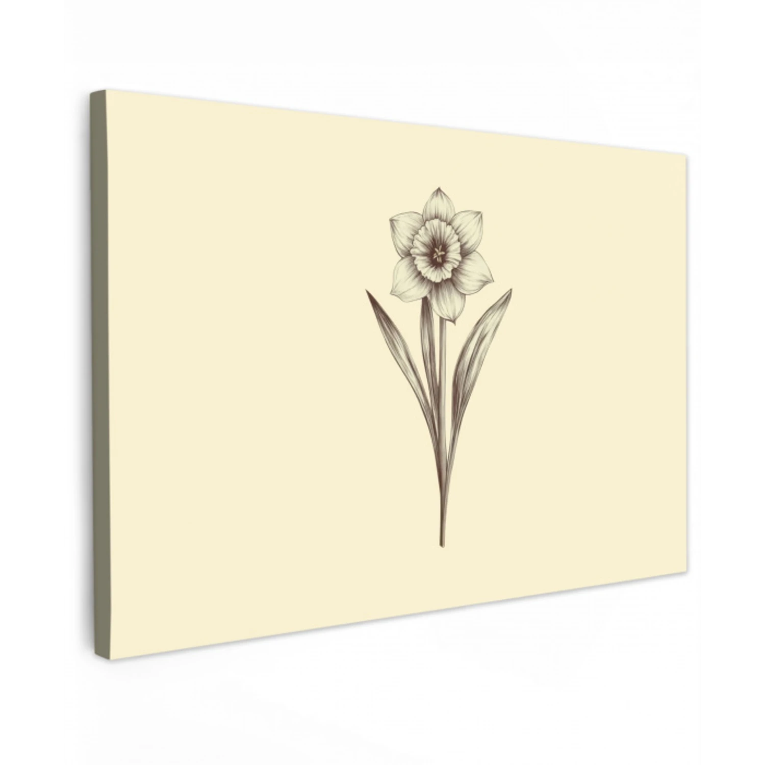 Zwart - Narcis - Illustratie Tuinposter op houten frame 2 cm dik klein -3d