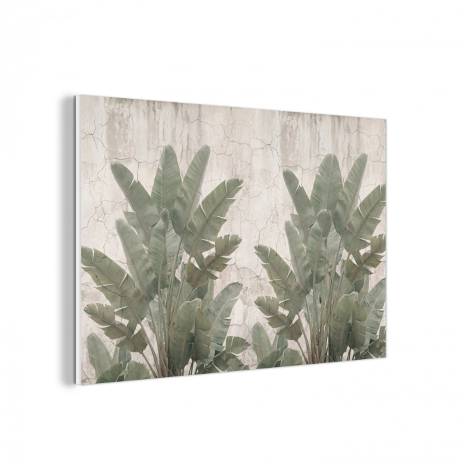 Bananenbladeren - Beton - Groen forex 5mm xxl -3d