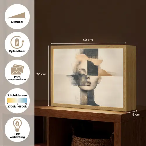 Goud - Vrouw - Rechthoeken Light Box met batterij (Wandlamp) middel -USP_websiteoverzichtNL