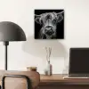 Schotse Hooglander - Horens - Zwart - Wit - Koe - Wild - Dieren aluminium wit klein -sfeer5